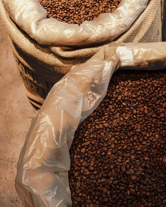 Canvas Drip Coffee, el filtrante de Alborada Café