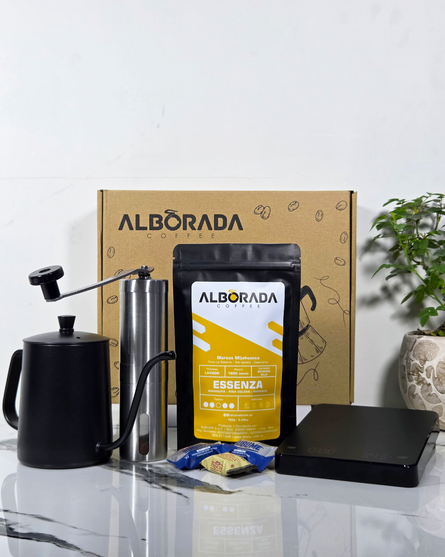 Box Barista Alborada Cafe