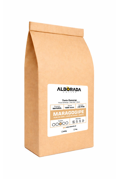 Maragogipe Deluxe - Café de especialidad 1kg