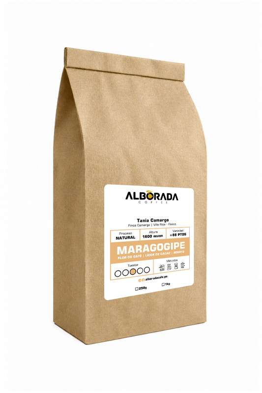 Maragogipe Deluxe - Café de especialidad 1kg Alborada Coffee